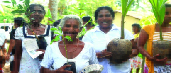 Social Development